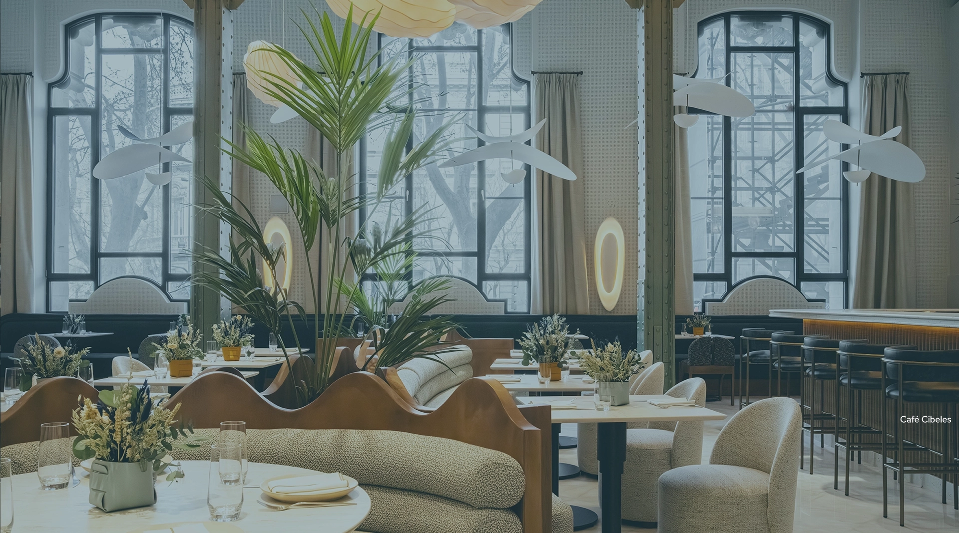 bg servicio mobiliario